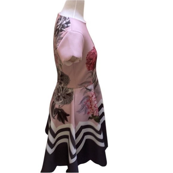 NWT Ted Baker Palace Gardens Skate Dress size 8 - Picture 3 of 13